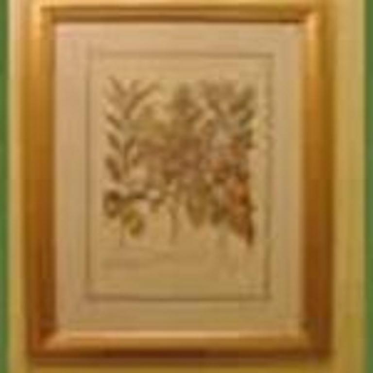 Cobb Lane Bed And Breakfast Birmingham Bagian luar foto